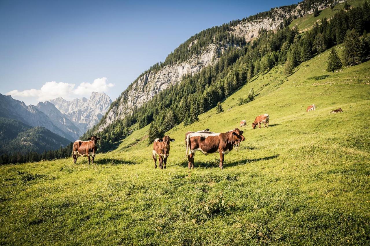 Exklusive Fewo Drachleck Mit 3 Schlafzimmern & Panoramabergblick In Bester Lage Schoenau am Koenigsee Exterior foto